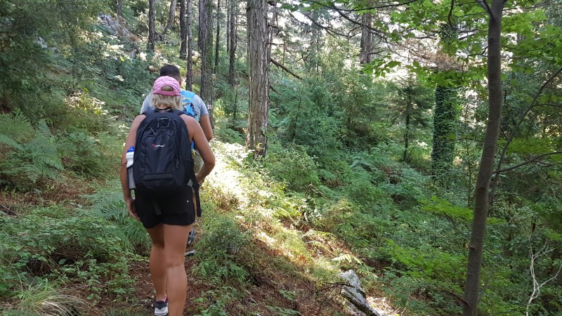 LLOARAPASSET, VLORABUKTEN TILL TIRANA